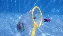 91140 Fish Catch Game by Swimline